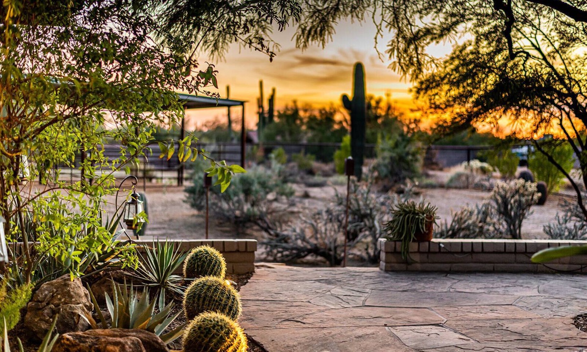Desert View Village House | Beautiful Sonoran Desert Home Dog Friendly RV-Trailer Parking Close to Westworld