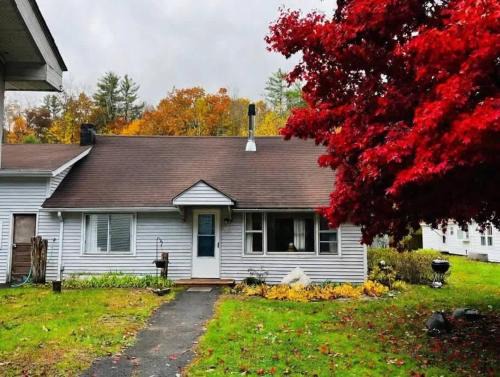 Mount Tremper House | Catskills Quaint Cottage with Peloton Minutes from Hiking