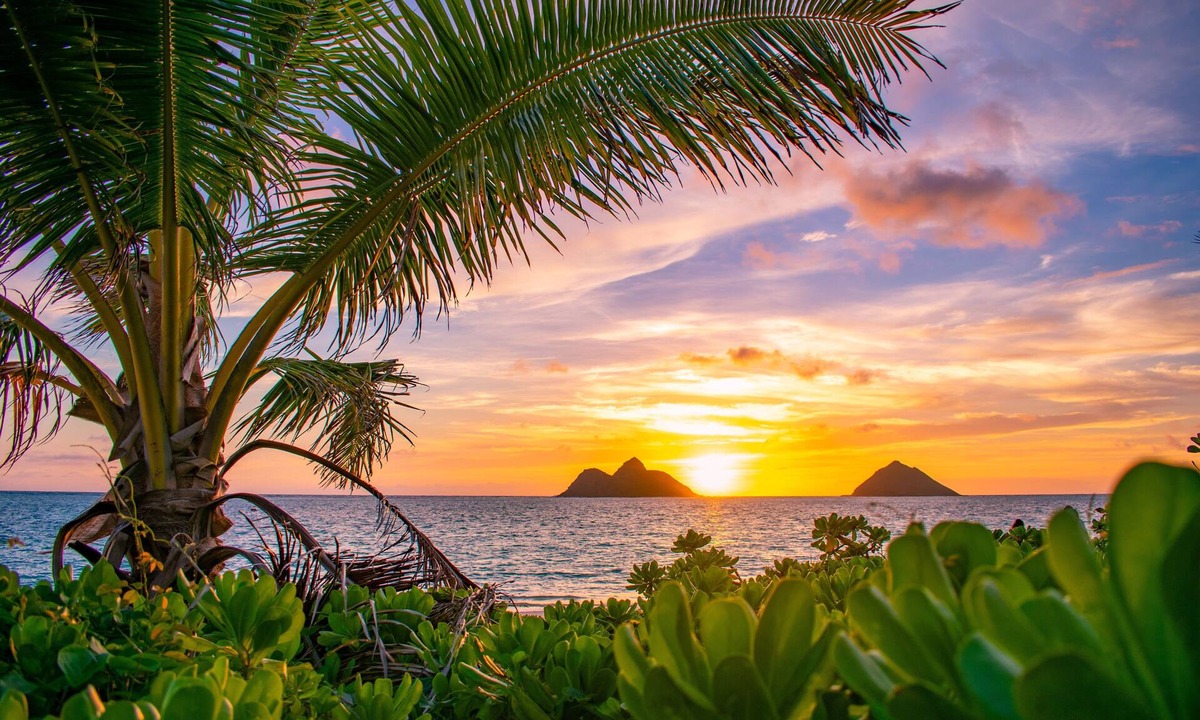 Lanikai House | Hale Alapi'i Lanikai Getaway by Gather: Newly Renovated Near Beach & Hiking