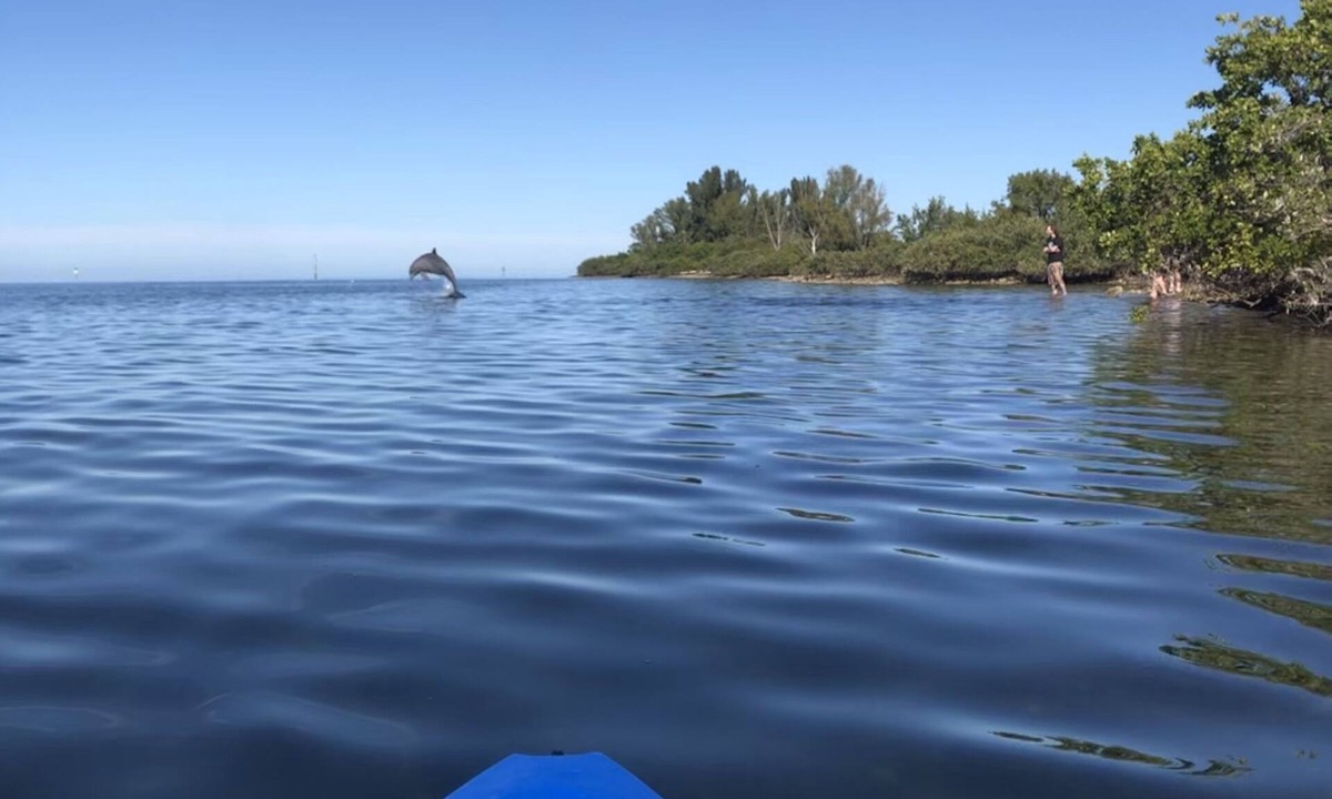 Pleasure Isles House | Kayak to the Gulf With Dolphins - Deep Water Canal Home