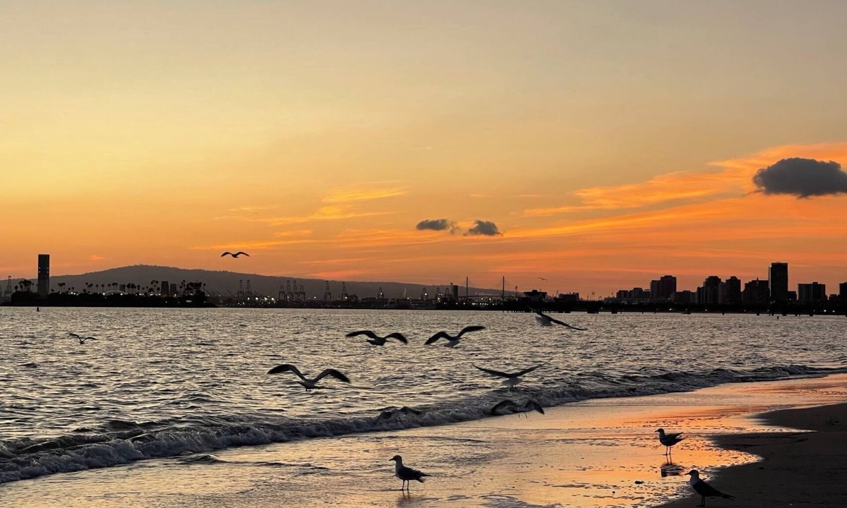 Old Towne House | Oceanview view house, Walking distance to beach