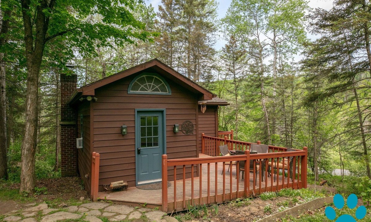 Prattsburgh Cabin | Private cabin and waterfall nestled among the hills!