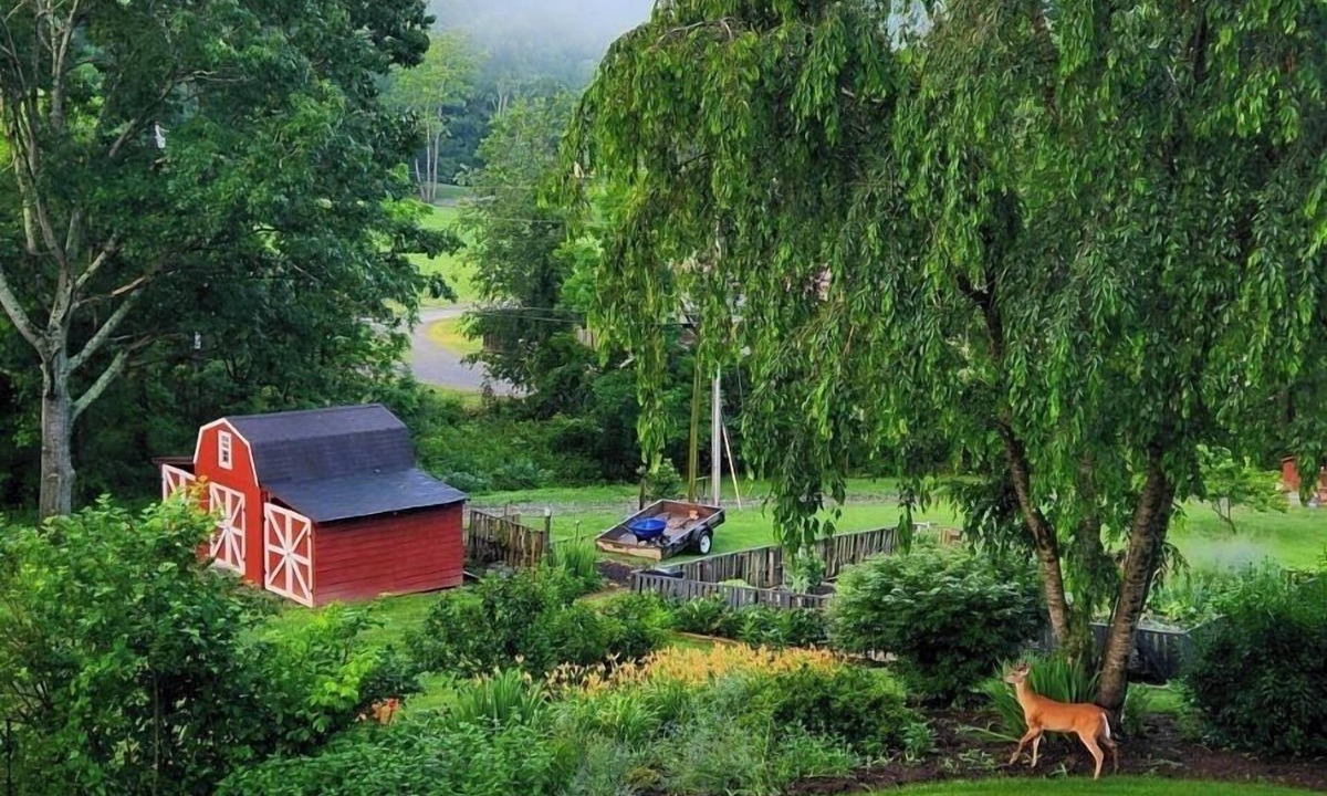 Weaverville Apartment | Private Mountain Guest Suite with Hot Tub + Fire Pit - 14 miles to Asheville