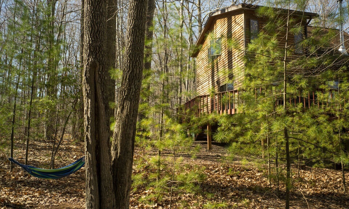 Willow House | Relaxing House in Catskills Forest Near Pretty Pond - near Woodstock/Phoenicia.