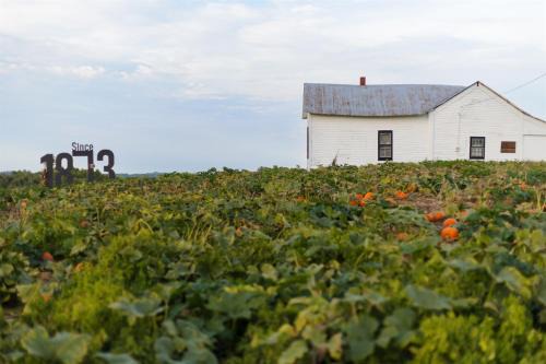 Alto Pass House | Rendelman Orchard's Farm Stay