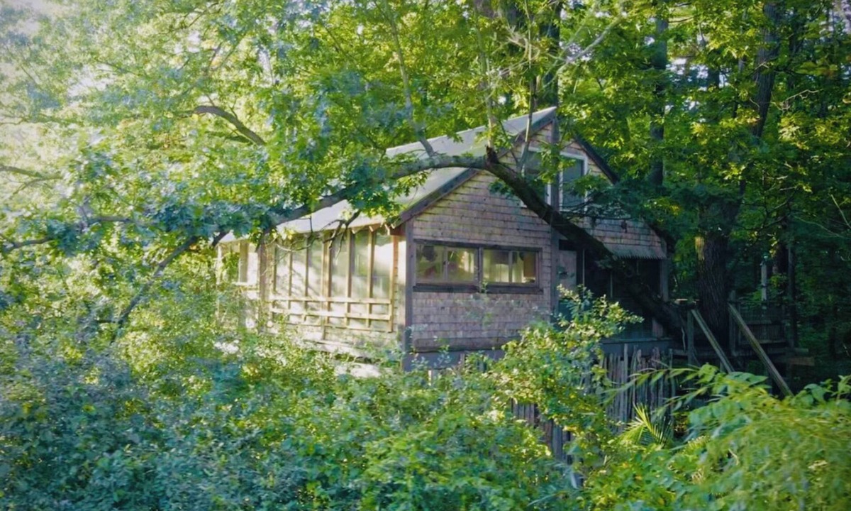Hollowville Cabin | Secluded Magic Treehouse Escape; Hudson, NY.