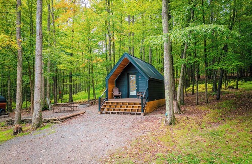 Wellsboro Cabin | A-frame Principal