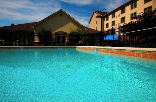 Lexington Hotel | An Accommodation for Family or Fur Parents | Free Breakfast & On-Site Parking