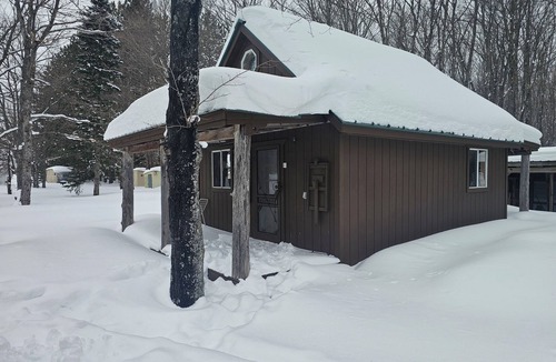 Shingleton Cabin | Bear Necessity Cabin Melstrand, MI