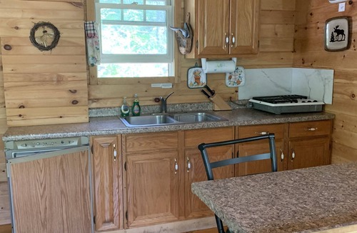 Dalton Cabin | Cabin Creek Hide-Away by Letchworth State Park, Waterfalls, Woods, Off Grid.
