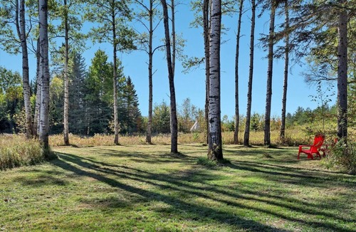 Lake Placid Cabin | Charming Colden Adirondack Cabin