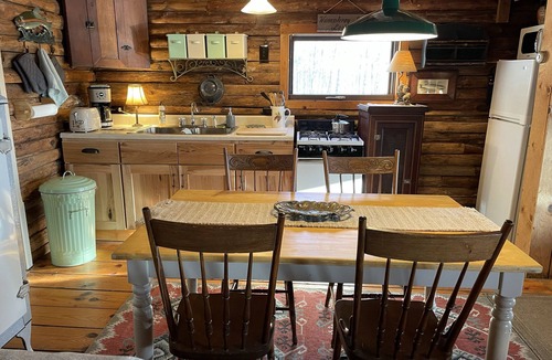 Great Valley Cabin | Charming Log Cabin on Private Pond Nestled in Woods Near Holiday Valley Resort
