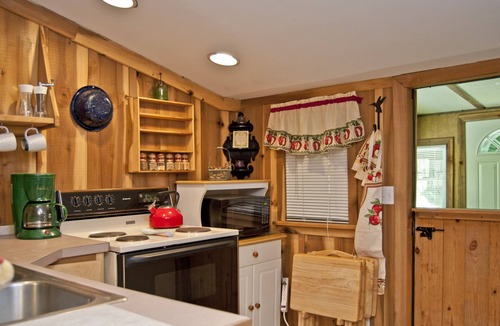 Leicester Cabin | Discounted Rates! Touch the STARS! at Asheville's Authentic 1890's Log Cabin!