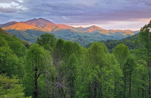 Sylva Apartment | Eclectic Style Home, Million Dollar View!