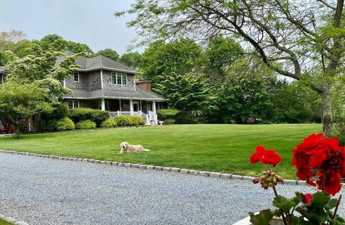 Westhampton House | Enjoy Hamptons! Luxury 4 Bdrm 3.5 bath; heated Pool, Putting Green, great yard.