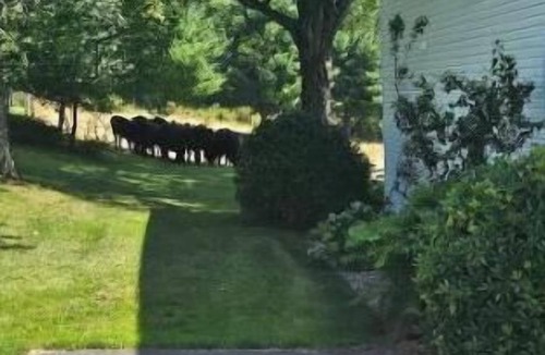 St. Marys House | Five W Ranch -Sugar Hill Farm location- Private, Five Minutes From Downtown!