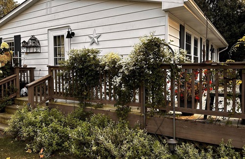 Coldwater Cottage | Lakefront Hidden Gem on Rose Lake! Cozy Cottage & Camper Spot with Private Docks