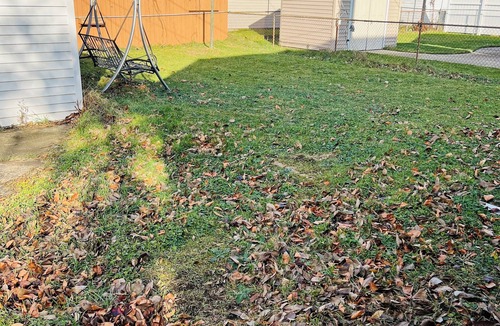 Ferndale House | Large Yard Ferndale Home near Motor City Detroit. Pet-Friendly!