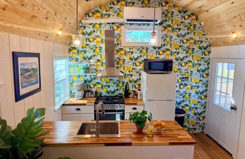 Homosassa House | Lemon Drop a Tiny Home Near Springs & Gulf