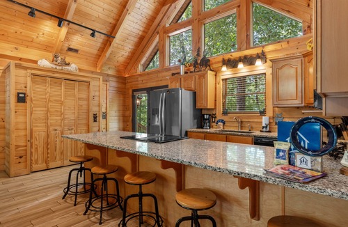 Ridgedale Cabin | Luxury Log Cabin Near Thunder Ridge Pvt Fenced Yard & HotTub Billiards EV Car Charger Free Tickets