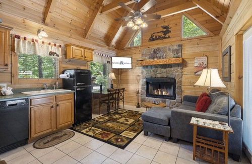 Branson Cedars Cabin | Minutes to Big Cedar-True Log Cabin-Free Silver Dollar Tickets-Pvt Hot Tub @ Lil Treehouse