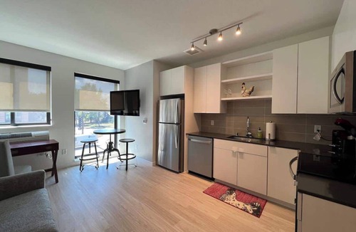 Hiawatha Apartment | Modern Sunny Micro 1BR Light Rail, Parks, MSP 205