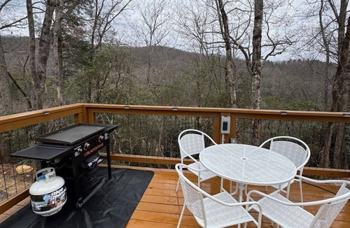 Balsam Grove House | Monarch Dome with Sauna and Hot Tub Wellness Stay