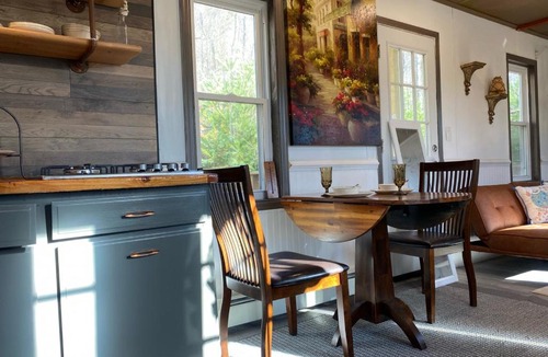 Oliverea Apartment | New- Cozy Tiny House with kitchenette firepit