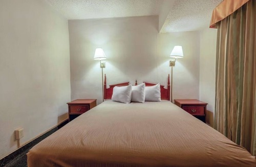 Allison Hotel | Pet-Friendly Space w/Hairdryer, Iron & Essentials For Stress-Free Travels