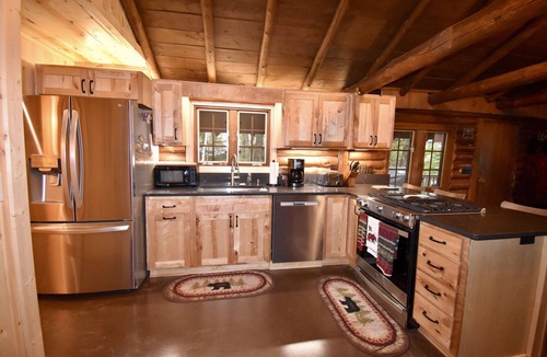Danbury Cabin | Rustic Lakefront Log Cabin Retreat w/Pontoon included Memorial to Labor Day
