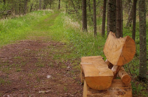South Range Cabin | Rustic Retreat Cabin for Families/Sm Groups, "Shalom"