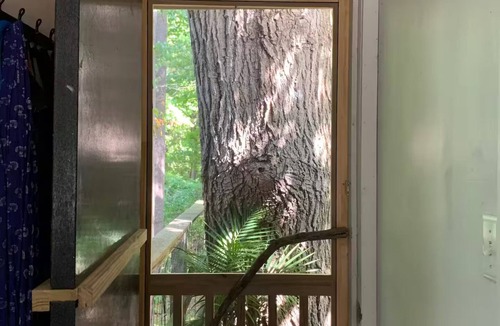 Hollowville Cabin | Secluded Magic Treehouse Escape; Hudson, NY.