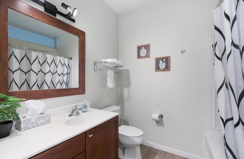 DeBaliviere Place Apartment | Sleek & Modern 1bd Apt