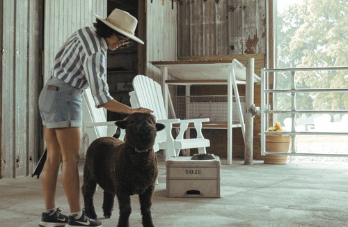 Perry House | Sleep in a barn while enjoying the luxury accommodations and friendly farm animals on property!