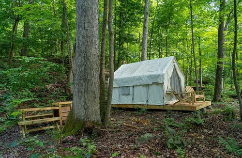 Staatsburg Other | Tentrr State Park Site - Mills Norrie State Park Site B