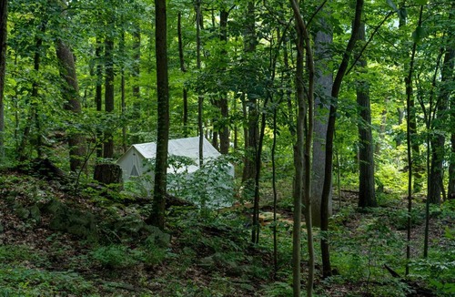 Staatsburg Other | Tentrr State Park Site - Mills Norrie State Park Site B