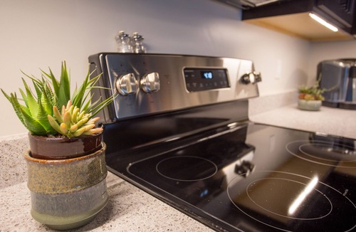 Kalamazoo Apartment | The Best of Kalamazoo - Spacious brand-new downtown apartment.