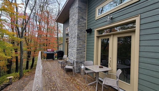 2 bd 2bth, Thomas, WV, near Canaan and Davis, WV skiing, trails, State Parks in Thomas