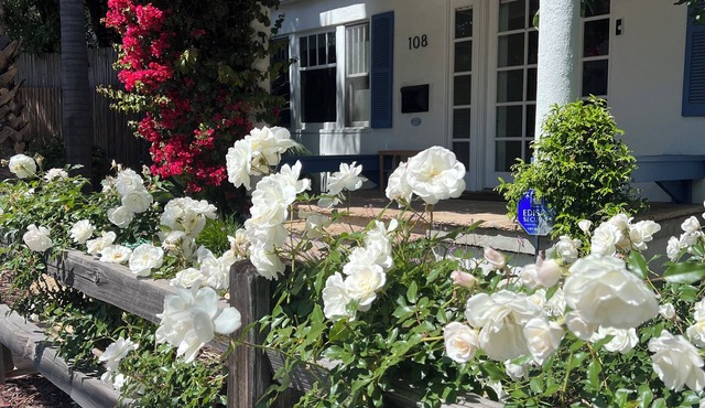 2 West Beach Cottages, 1 Block to Beach & Downtown, Harbor & Funk Zone