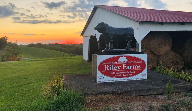 331 Acres of Comfort & Rest, ❤ of the Bluegrass- 12 mins from ARK w/Hot Tub