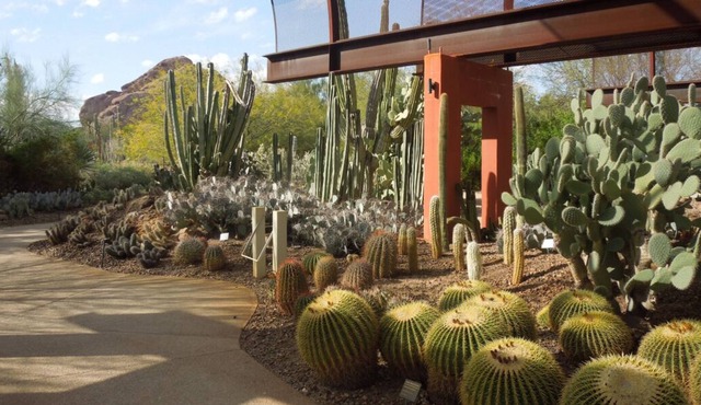 4 Serene Units in 40-Acre Property, Perfect for Special Events! On-Site Dining