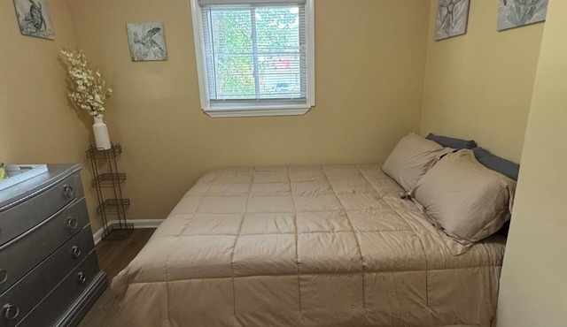 420 friendly Charming 3-bedroom house in awesome Detroit with AC, WiFi