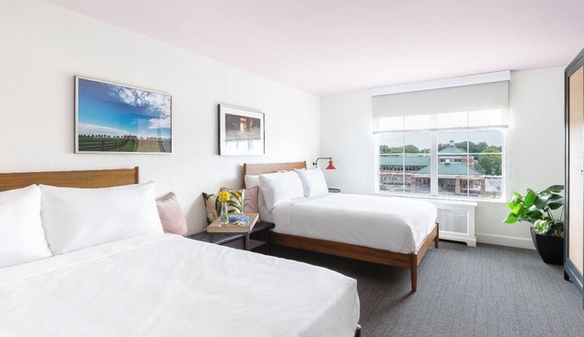 Accommodation Right in the Heart of the City | Pets Are Allowed