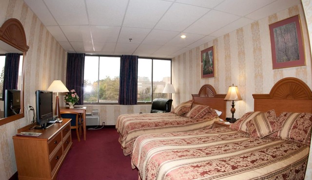 Amsterdam Hotel