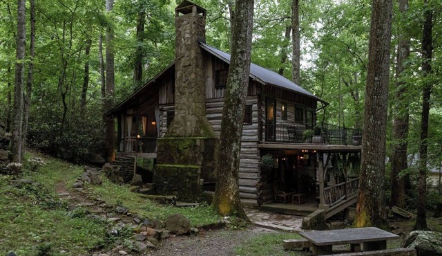 Asheville Moss and Ivy Cabin - AB&B Superhost