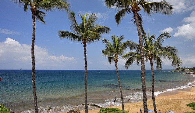 Beachfront Condo E 303/Incredible views/Pickleball/Great Snorkeling