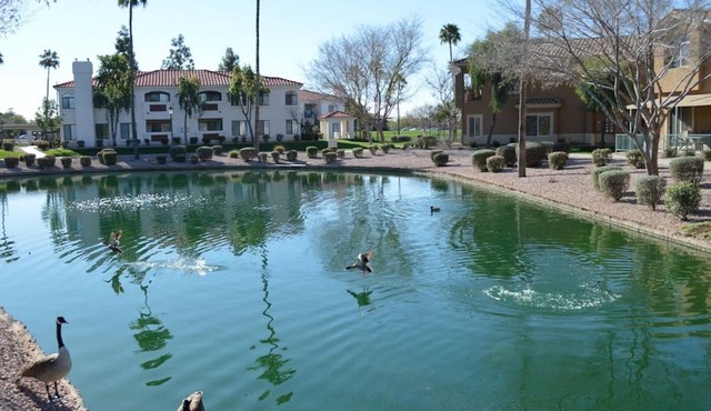BEAUTIFUL LAKE FRONT CONDO VIEW - Mesa, AZ - 3 Bedrooms - 2 Baths - (Sleeps 6)
