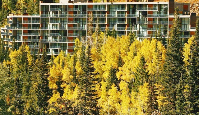 Beautiful studio unit at resort, sleeps 4