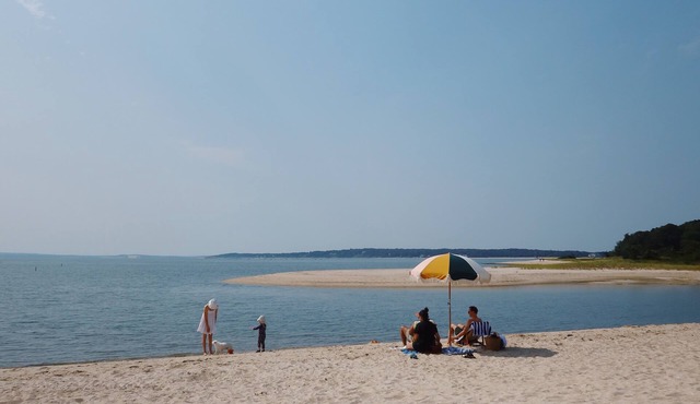 Between the Vineyard and Sea. Walk to sandy beach from this charming cottage.