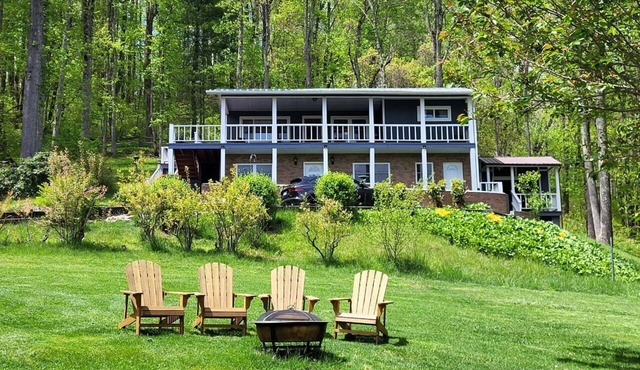 Black Bear House on Blueberries Hill